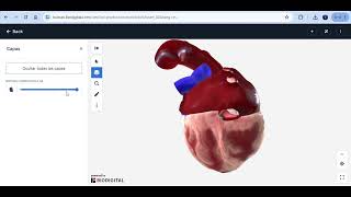 Video Tutorial Biodigital [upl. by Eradis1]