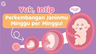 Perkembangan Janin Minggu per Minggu [upl. by Stine204]