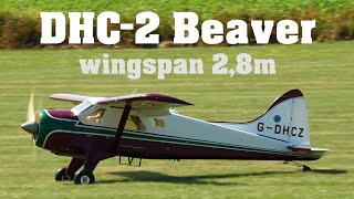 DHC2 Beaver  28m scale RC aircraft  4K  Trebic 2023 [upl. by Tien]