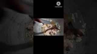 chicken stew recipe [upl. by Brod]