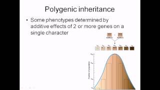 Polygenic inheritance [upl. by Gerdy]