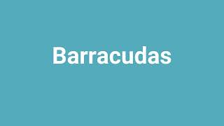 Barracudas Meaning and Pronunciation [upl. by Enayr770]