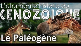 Le paléogène  Cénozoïque 1  Paléontologie  Simplex Paléo [upl. by Wolfort68]