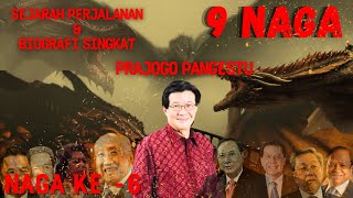 Naga Ke6  Prajogo Pangestu Sejarah Perjalanan Dan Biografi 9 Naga Indonesia [upl. by Adnorrahs]