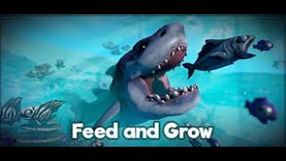 🔴FISH FEED AND GROW IKAN ORCA SI GEMOY YANG RAKUS [upl. by Broadbent]