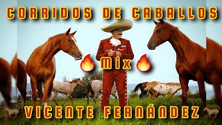 🔥MIX VICENTE FERNANDEZ🔥 CORRIDOS DE CABALLOS 🏇 🐎 🐴 [upl. by Htebsle]