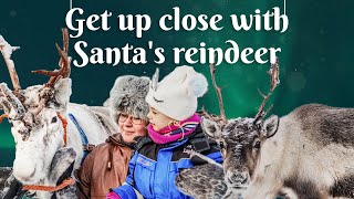 Get up close with Santas reindeer  Magical Lapland Holidays with Canterbury Travel [upl. by Hellman625]