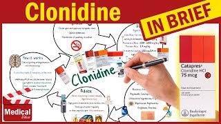 Clonidine 01 mg Catapres What Is Clonidine Used For Uses Dosing and Side Effects of Clonidine [upl. by Waldos]