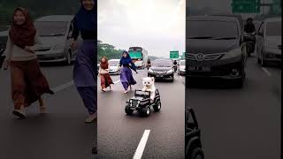 KUCING KECIL LUCU MAIN MOBILAN SAMPAI JALAN RAYA ai animasi feedshorts funny kucingkecillucu [upl. by Aseretairam]