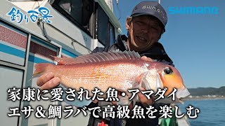 【釣り百景】518 家康に愛された魚・アマダイ エサ＆鯛ラバで高級魚を楽しむ [upl. by Notse]