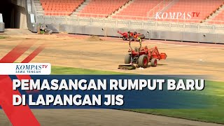 Rumput JIS Diganti Total dengan Standar FIFA Gunakan Rumput Jenis Zoysia Matrella [upl. by Ettelorahc]