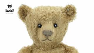 Steiff 1905 PAB 43 Teddy Bear Replica 403507 [upl. by Cindee]