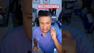 Ancylostoma music love edm parati veterinaria perros creepypasta enfermedad veterinaria [upl. by Zilevi]