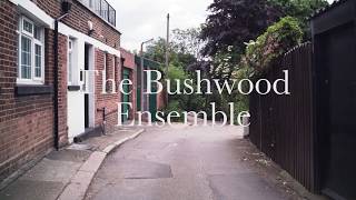 The Bushwood Ensemble [upl. by Carpenter578]