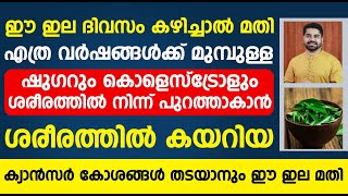 ദിവസം ഒരില മതി ഷുഗറായാലും കൊളെസ്ട്രോൾ ആയാലും ശരീരത്തിൽ നിന്ന് പുറത്താക്കാൻ  cholestrol malayalam [upl. by Greenwood752]