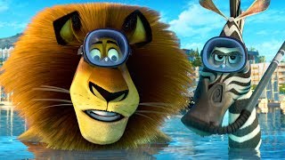 DreamWorks Madagascar  Zoo Transfer  Shipped to Africa Movie Clip  Kids Movies [upl. by Mayap]