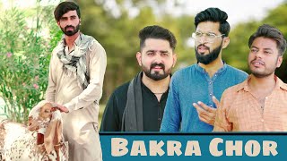 Bakra Eid Special  Chori ka Bakra  Bwp Production [upl. by Baillie]