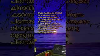 pinneyum pinneyum Malayalam song lyrics viral shortvideo [upl. by Ignatius]