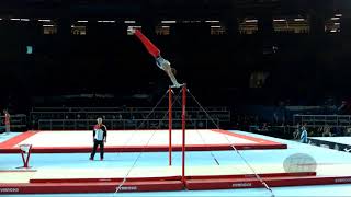 BRETSCHNEIDER Andreas GER  2017 Artistic Worlds Montréal CAN  Qualifications Horizontal Bar [upl. by Keemahs95]