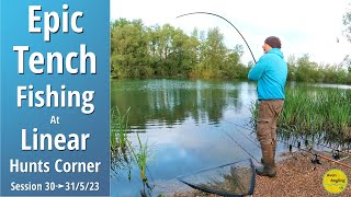 Tench Fishing  Huge Tench Lots Of Tench amp Big Carp  Linear  Hunts Corner  30➜31523 Vid 409 [upl. by Iren]