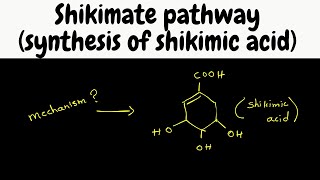 Biosynthesis part 6  shikimic acid synthesis [upl. by Nosiram415]