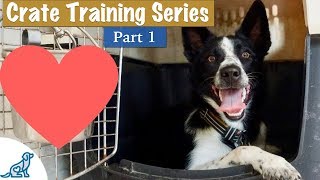 Crate Training Your Puppy DOESNT Have To Be Stressful [upl. by May463]