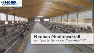 Neubau Munimaststall bei Familie Reinhart Moser Stalleinrichtungen [upl. by Notxap]