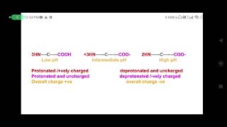 Amino Acid as Zwitterion Amphiprotic substance Amphoteric substances Glycine as Zwitterion [upl. by Hait]