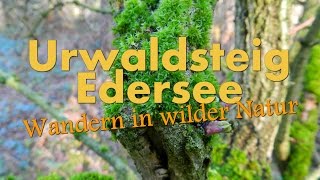 Urwaldsteig Edersee  Wandern in wilder Natur HD Teil 3 von 3 [upl. by Irrehs]