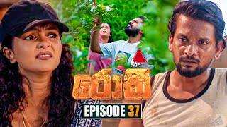 Rocky රොකී  Episode 37  01st October 2024  Sirasa TV [upl. by Germaun134]