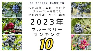 【ブルーベリーランキング10｜2023年版】50品種以上育ててきたブルーベリー観光農園のプロ農家が選び抜きました [upl. by Candace]