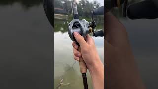 Baitcaster best setup fishing [upl. by Tremann]