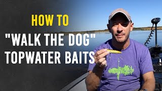 How to quotWalk the Dogquot With Topwater Baits [upl. by Etiam]