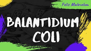 Balantidium coli Balantioides coli Neobalantidium coli [upl. by Tiffany742]