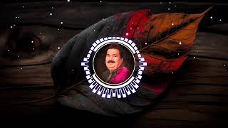 Shafaullha Khan  chal botal cha dildar slowed reverbchal I remixSaraiki Super Hit Song [upl. by Lraep894]