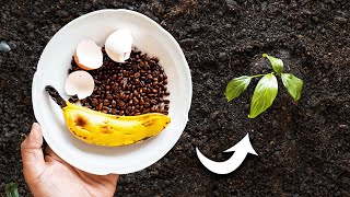 How to Use Eggshells Banana Peels and Coffee Grounds in the Garden [upl. by Brantley]