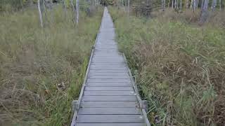 Maine Coast Day 4 Jesup Path [upl. by Anaela]