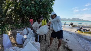 Seawall Work With My Siblings🇫🇯🇩🇰 [upl. by Eidnyl]