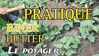 COMMENT MIEUX ENTRETENIR SON POTAGER [upl. by Lewap]