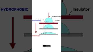 Hydrophobic vs Hydrophilic and the importance for the electrical insulators [upl. by Byram]