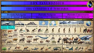 Las Eras Geológicas 5 La Era Cenozoica [upl. by Dianna474]