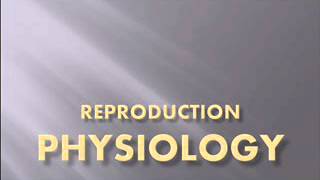 anovulatory cycle  indication of ovulation Dr Mohammed Fayez [upl. by Latham]