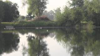 SHEEPHOUSE FARM FISHERY MAIDENHEAD BERKSHIRE [upl. by Akirej218]