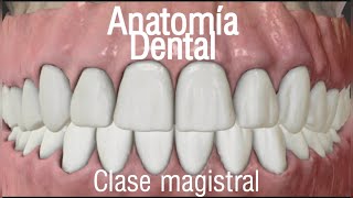 Anatomía dental  clase magistral virtual [upl. by Yrrehc]