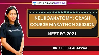 Neuroanatomy crash course Marathon session  NEET PG 2021  Dr Chesta Agarwal [upl. by Spielman646]