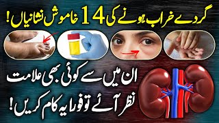 14 Silent Symptoms Of Kidney Failure  Kidney Disease Signs Causes And Symptoms Urdu Hindi [upl. by Ellebana]