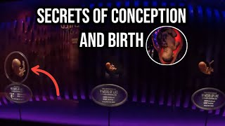 Secrets of Human Conception and the Miracle of Birth [upl. by Arej783]