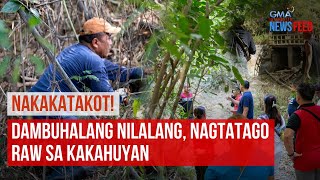 Dambuhalang nilalang nagtatago raw sa kakahuyan  GMA Integrated Newsfeed [upl. by Naivatco]