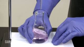 Setting up and Performing a Titration [upl. by Ciccia]