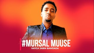 MURSAL MUUSE  HAYGA JABIN BAWDADA  Hees Cusub New Official HD [upl. by Heyde348]